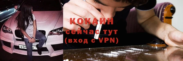 твердый Липки