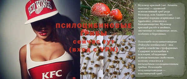 твердый Липки