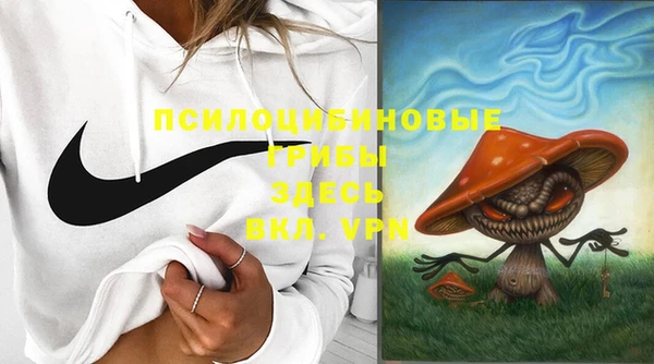 МДПВ Лихославль