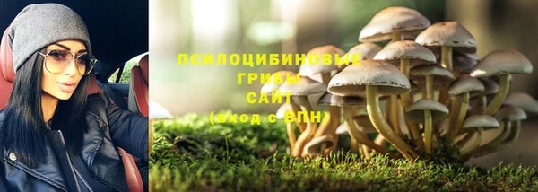 твердый Липки