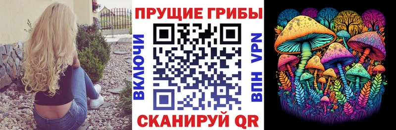 Купить закладки  Белая Калитва  Псилоцибиновые грибы прущие грибы 